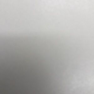 Meet your Posher, Bo